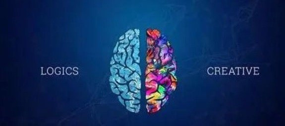 大脑的创造力是来自何处呢?